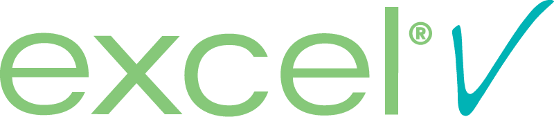 excelV logo